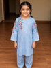 Sky Blue Self Jacquard dress